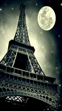 Eiffel Night View